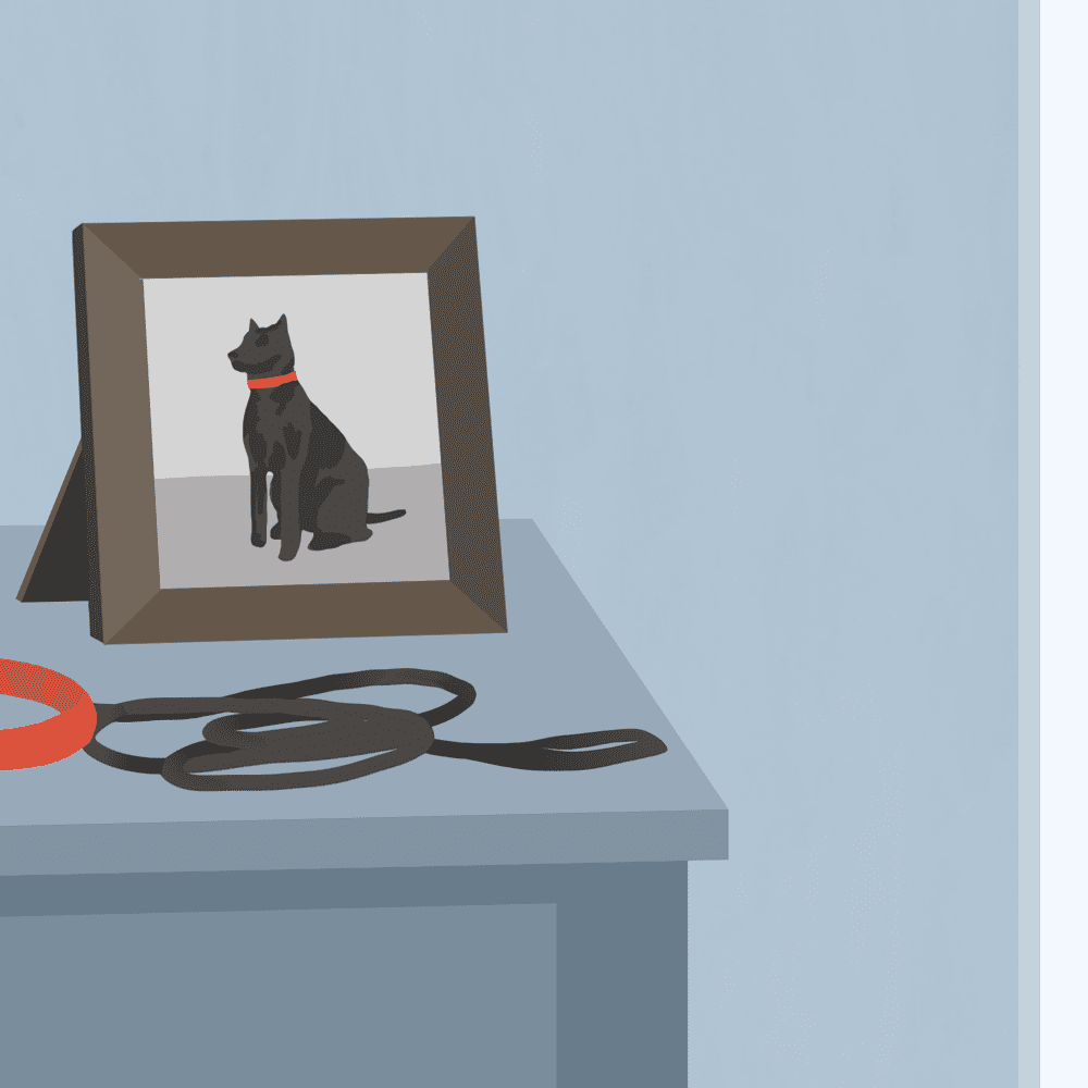 Lấy quạ làm ví dụ. Trong những sự kiện này, quạ ( Corvus brachyrhynchos) tụ tập xung quanh xác những con quạ chết, lượn lờ ồn ào trong khi kiểm tra xác chết, và đôi khi cũng tấn công và thậm chí cố gắng giao phối với xác chết.