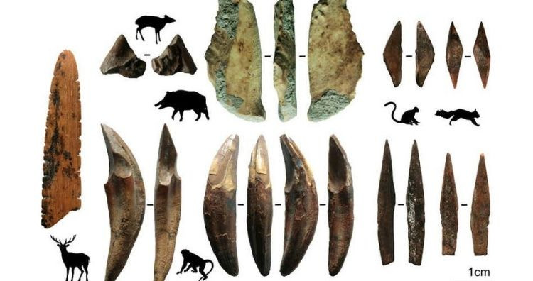 Có niên đại khoảng 48.000 năm, công nghệ cung tên cổ đại đã được phát hiện trong một hang động ở Sri Lanka. Đây là bằng chứng lâu đời nhất về bắn cung từng được tìm thấy ở khu vực này. Cùng với các công cụ bắn cung, đội khai quật cũng tìm thấy các vật trang trí làm từ đất khoáng và vỏ ốc biển.