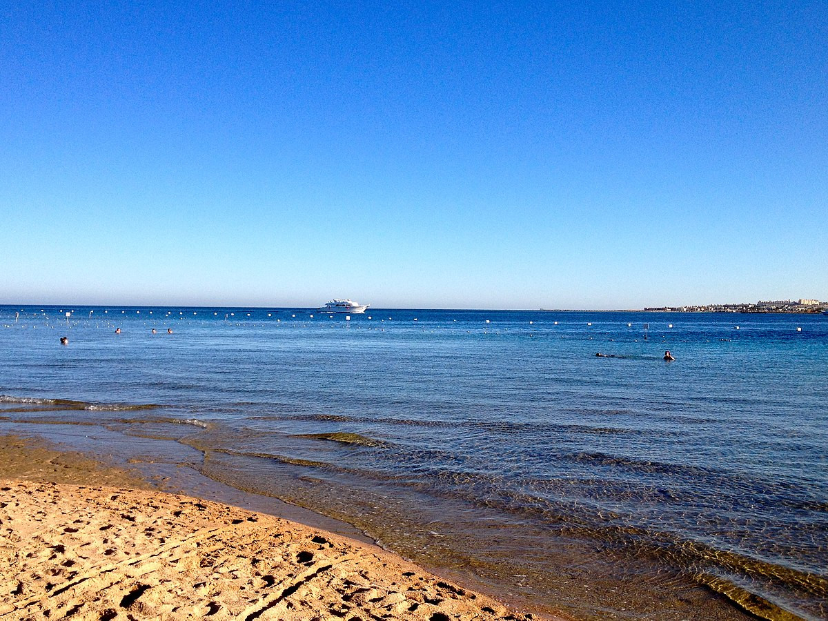 Karine Kleinhaus, phó giáo sư khoa học hàng hải và khí quyển tại Đại học Stony Brook ở New York, cho biết: “Tôi không nghĩ có ai biết chắc nó có tên như thế nào. Nhưng có thể, cô ấy nói thêm, câu trả lời có thể liên quan đến tảo - trong trường hợp này là Trichodesmium erythraeum.