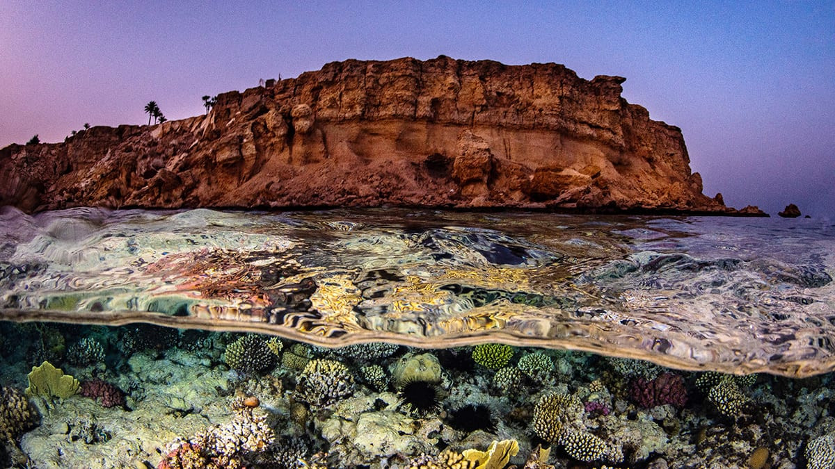 Theo Britannica, chiều rộng tối đa của Biển Đỏ là 305 km và độ sâu tối đa của nó là 3.040 mét. Nó có diện tích khoảng 450.000 km vuông.