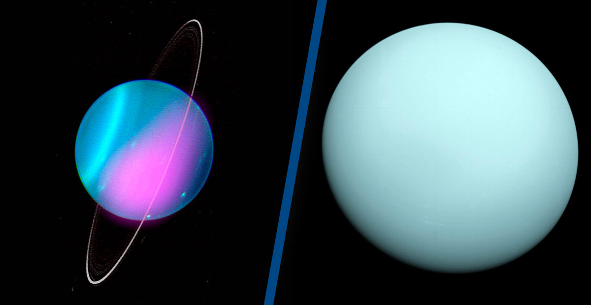 Theo thứ tự bảng chữ cái, chúng là: Ariel, Belinda, Bianca, Caliban, Cordelia, Cressida, Cupid, Desdemona, Ferdinand, Francisco, Juliet, Mab, Margaret, Miranda, Oberon, Ophelia, Perdita, Portia, Prospero, Puck, Rosalind, Setebos , Stephano, Sycorax, Titania, Trinculo và Umbriel.