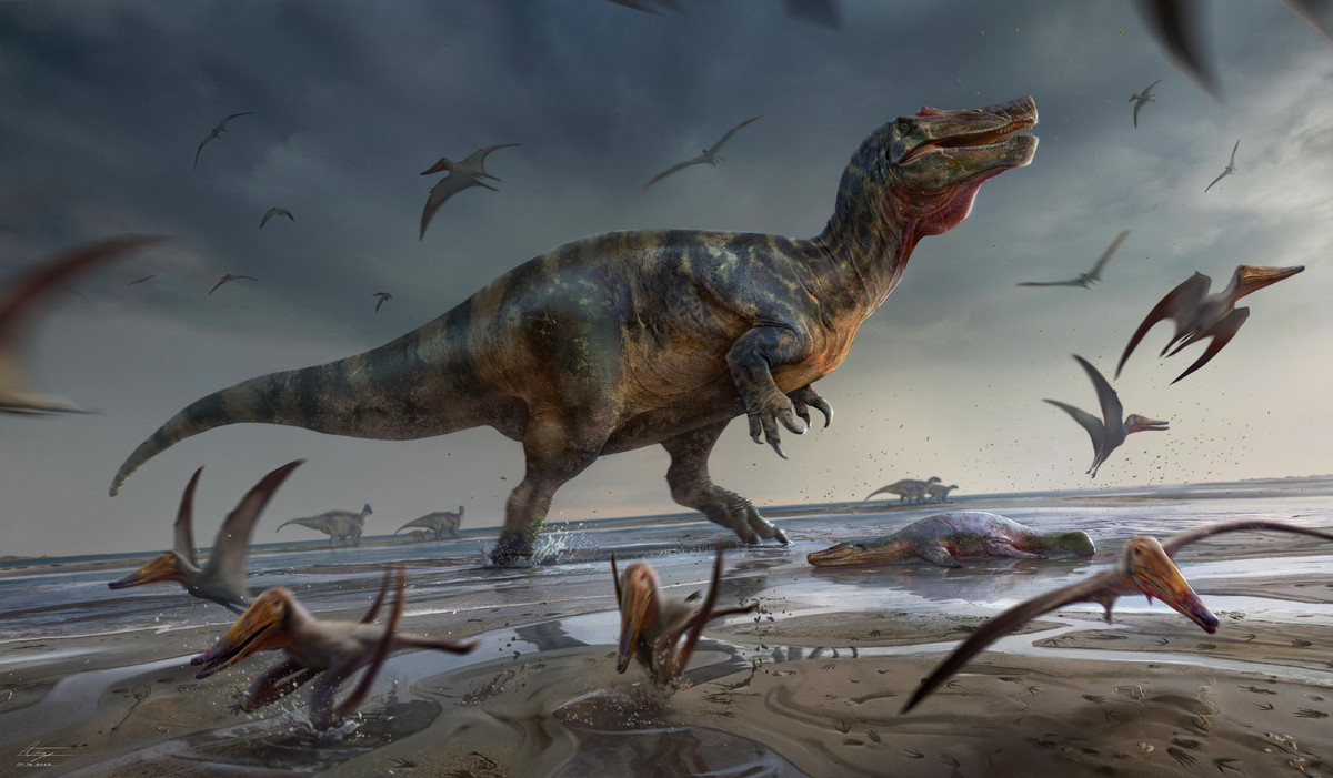 Loài spinosaurids mới này có phần bí ẩn vì rất ít hóa thạch của nhóm khủng long này được phát hiện. Các nhà khoa học nghi ngờ rằng, những sinh vật săn bắt trong các hồ, sông và đầm phá, nhưng làm thế nào hóa thạch của chúng lại nằm trong mỏ đá. Và đó là một chủ đề đang gây tranh luận mạnh mẽ.
