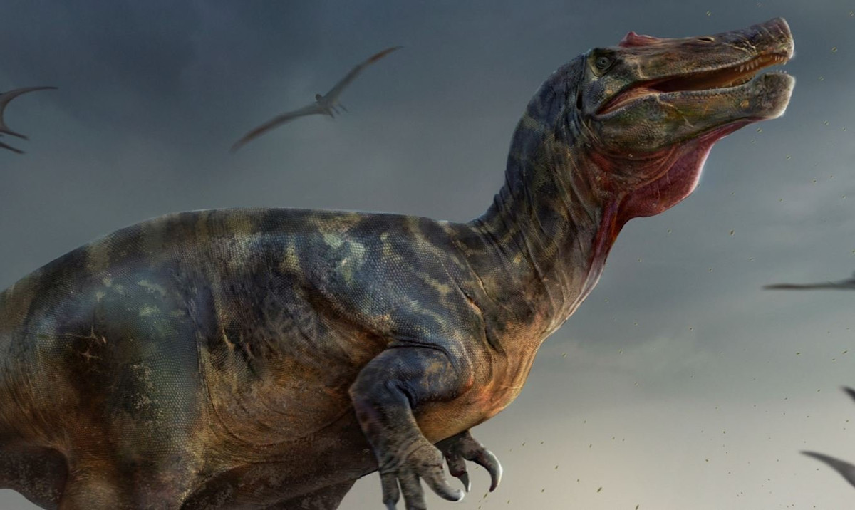 Một số nhà cổ sinh vật học đã đề xuất rằng, loài spinosaurids chủ động bơi theo con mồi của chúng, tự đẩy mình bằng cách quẫy đuôi lớn như cá sấu hiện đại.