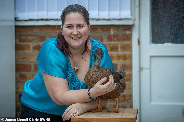 Joe, đến từ Harwich, Essex cho biết: “Huấn luyện một con vịt không hẳn khó. Bạn chỉ cần thích nghi với nó. Ví dụ, khi muốn rung chuông, nó sử dụng mỏ của mình, trong khi những con chó thì sử dụng chân của chúng”.