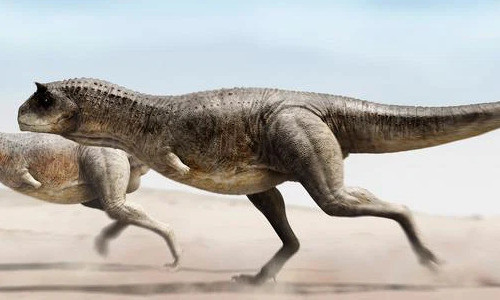 Được biết, Argentina nổi tiếng với hóa thạch khủng long, với 35 loài đã được mô tả từ đất nước này. Nhưng gần như tất cả chúng đều đến từ Patagonia, ở phía nam của đất nước, và tương đối có ít loài khủng long được tìm thấy ở phía tây bắc. 