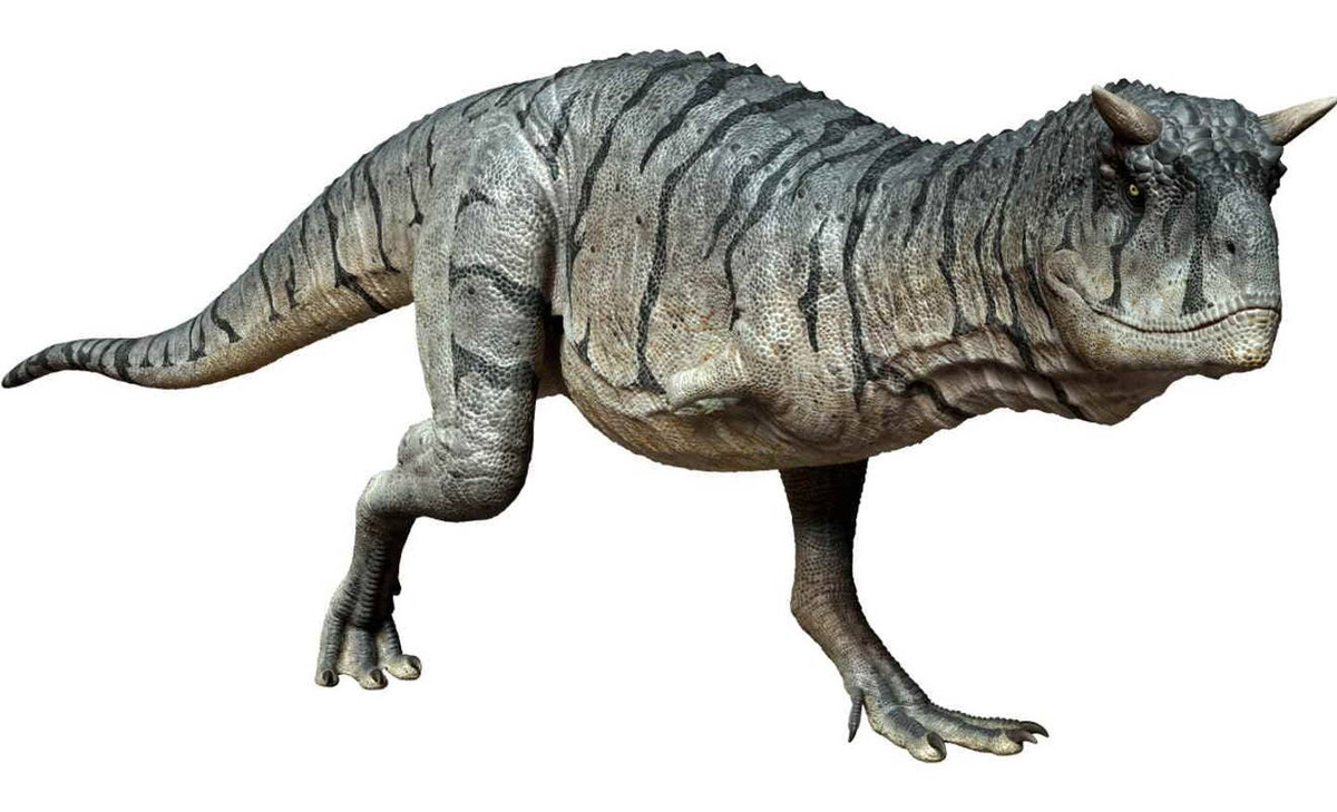 Guemesia ochoai cũng thuộc một nhóm động vật ăn thịt từng sống lang thang ở khu vực ngày nay là Châu Phi, Nam Mỹ và Ấn Độ.