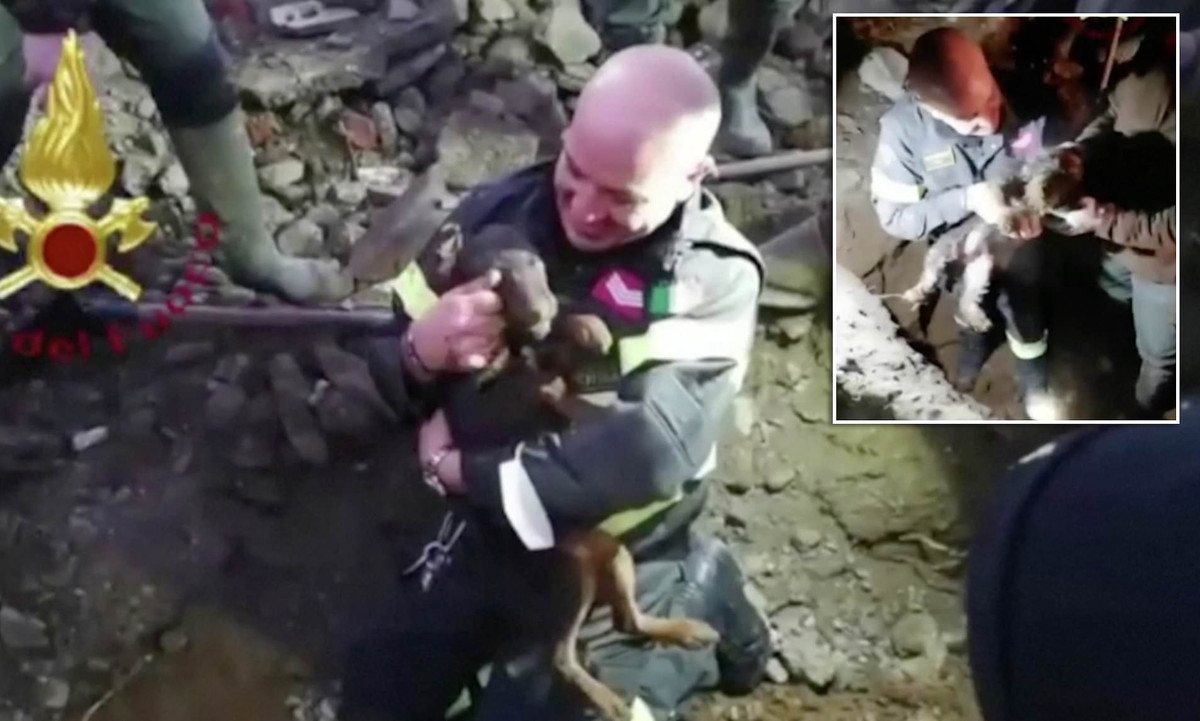 Mới đây, hai chú chó đã được giải cứu khỏi một hang cáo nằm quanh co dưới mặt đất ở Ý.