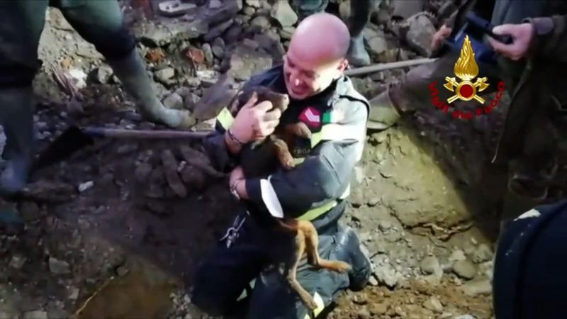 Trong video, một người lính cứu hỏa được nhìn thấy đang loại bỏ đất, bụi bẩn và mảnh vỡ trước hang cáo sau khi đào bới phát hiện, sau đó người này dùng tay kéo chú chó đầu tiên lên đến nơi an toàn và ôm nó lại gần, tiếp đến là con chó thứ hai.