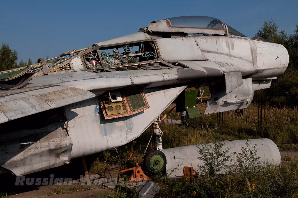 Trong chiến tranh Lạnh, Liên Xô đã chế tạo hàng nghìn máy bay tiêm kích máy bay cường, kích và máy bay ném bom tạo nên một lực lượng không quân hùng mạnh nhất châu Âu. Mặc dù rất nhiều trong số đó có hàm lượng công nghệ thấp, nhưng các loại máy bay Liên Xô được đánh giá là rất cơ động và chắc chắn. Ví dụ như dòng máy bay tiêm kích MiG nổi bật hơn hẳn các tiêm kích ở châu Âu thời bấy giờ. Nguồn ảnh: Flick