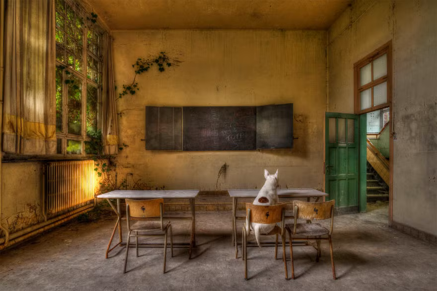 Claire ngồi trên ghế trong một phòng học đã cũ.