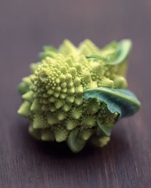 Nổi tiếng là với "nhan sắc" độc đáo của mình, súp lơ Romanesco còn được coi là một Fractal tự nhiên xấp xỉ hoàn hảo. Fractal (phân dạng) là một vật thể hình học thường có hình dạng gấp khúc trên mọi tỷ lệ phóng đại và có thể được tách ra thành từng phần. Mỗi phần trông giống như hình tổng thể, nhưng ở tỷ lệ nhỏ hơn. Như vậy phân dạng có vô tận các chi tiết, các chi tiết này có thể có cấu trúc tự đồng dạng ở các tỷ lệ phóng đại khác nhau.