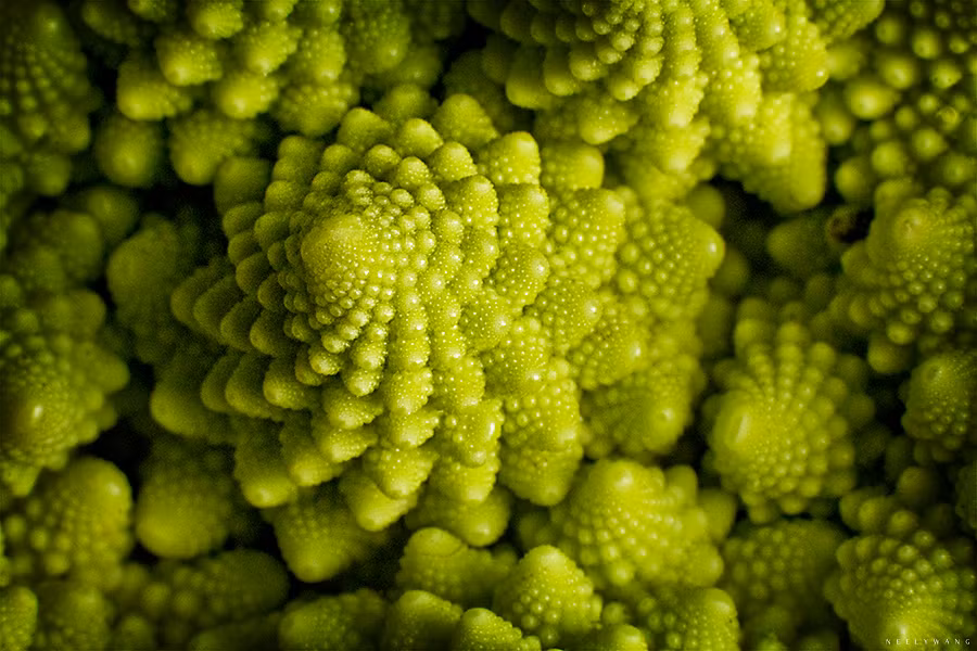 Những bông cải có hình tháp, xoắn ốc tuyệt đẹp.