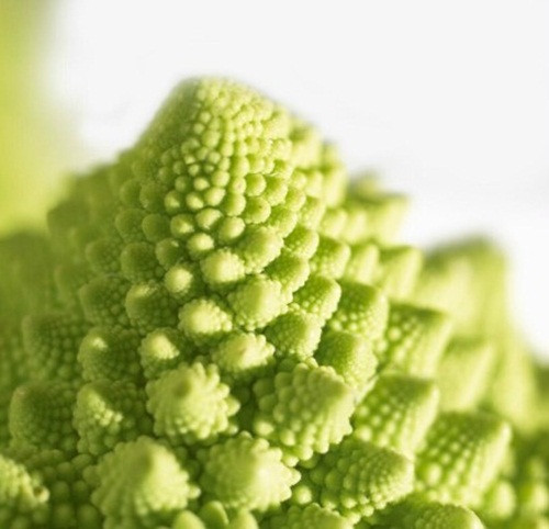 So với những cây súp lơ thường, súp lơ Romanesco rất giàu vitamin C, vitamin K, chất xơ và carotenoids, vị ngọt mát, khi xào lên giòn hơn, có vị ngon tinh tế hơn.