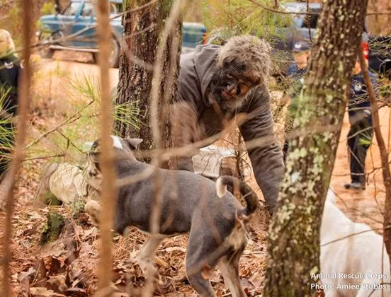 Người đàn ông vô gia cư đang nói lời tạm biệt cuối cùng với những chú chó cưng của mình khi tổ chức cứu hộ động vật Animal Rescue Corps đến để đưa những chú chó này đi, chăm sóc, tiêm chủng và cố gắng tìm một mái nhà thực sự cho chúng.