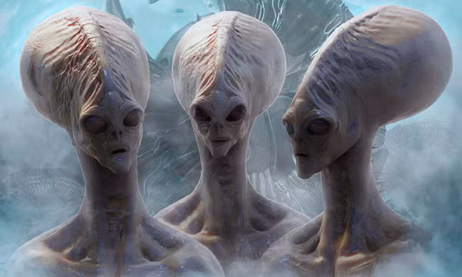 3. Chủng tộc người ngoài hành tinh Greys. Còn được gọi là "Zeta Reticulans", những người ngoài hành tinh này có hai kích cỡ, thấp và cao. Những người Greys thấp thường chỉ cao chưa đến 1m, ngược lại, người Greys cao có thể phát triển đến gần 2,5m. Cả hai đều có đầu to, chân tay thuôn dài, cả người màu xám. Chủng tộc Greys được cho là chịu trách nhiệm trong vụ bắt cóc hai người Mỹ là Barney và Betty Hill năm 1961.