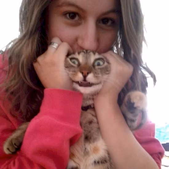 Nhung con meo co bo mat nguy hiem nhat the gioi-Hinh-15