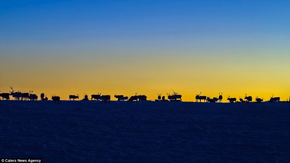 Khung cảnh hoàng hôn đẹp ảo diệu trong chuyến di cư.
