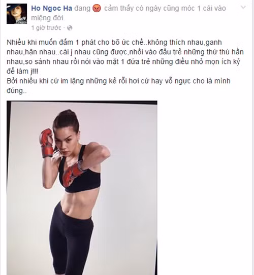 Dòng trạng thái gây tranh cãi của nữ ca sĩ.