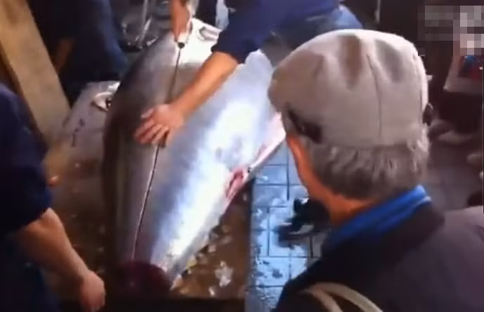 Cảnh tượng con cá ngừ khổng lồ bị xẻ thịt sau khi bán đấu giá thành công.