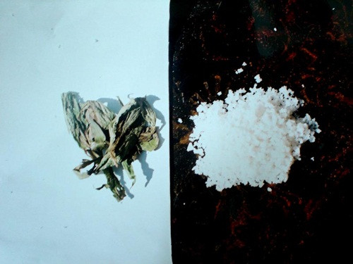 Bùa yêu thường có muối và một loại lá cây ở bản địa