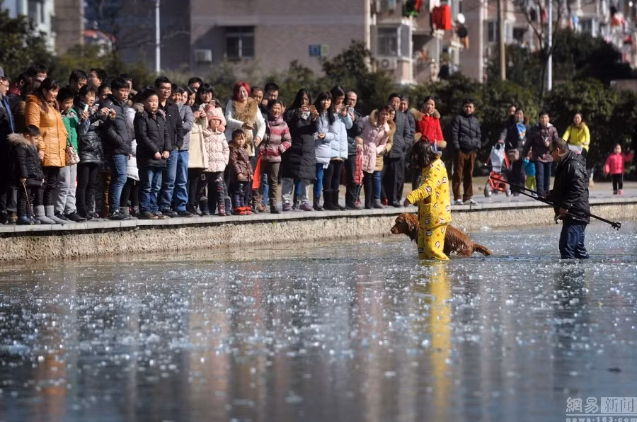 Màn giải cứu chú chó thành công, nhiều người chứng kiến đã không ngừng chúc mừng cô chủ chú chó và khen ngợi ông Hạng là người trượng nghĩa, giàu lòng nhân ái.