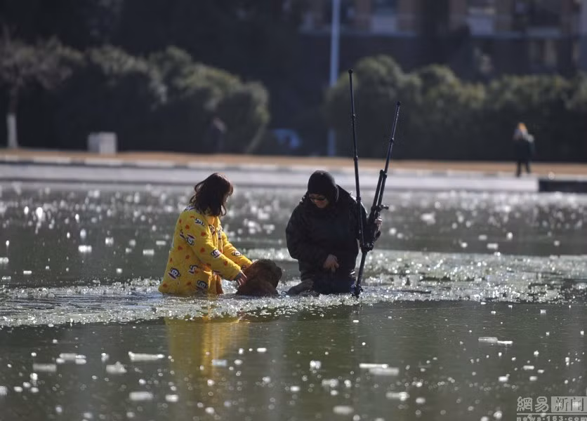 Chú chó biết ơn ông Hạng đã cứu sống nó.