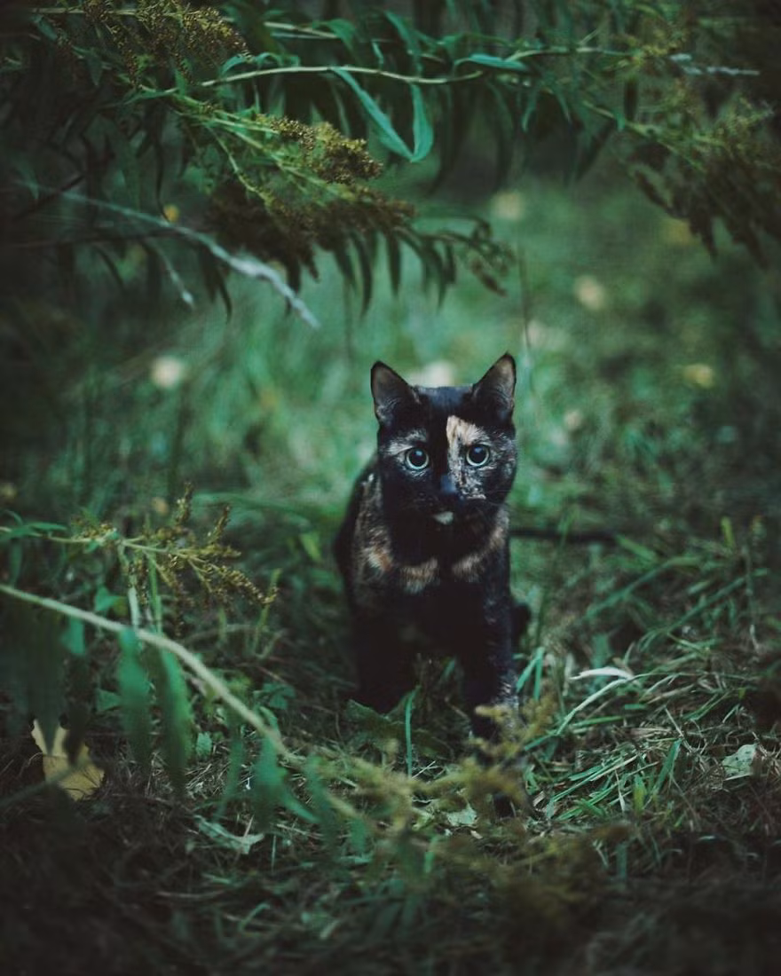 Không chỉ có thế, mỗi một chuyến hành trình, mỗi một lần khám phá cùng với cô chủ Magdalena, Kate đều có những bức ảnh tuyệt đẹp, ghi lại những kỷ niệm đáng nhớ.