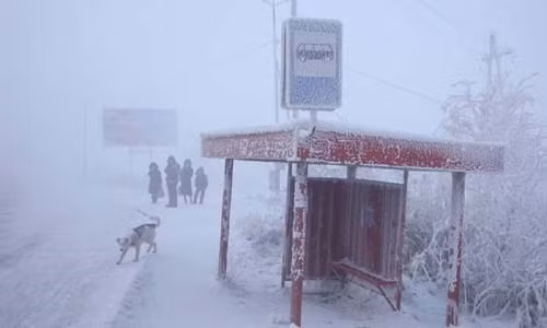 Oymyakon là ngôi làng nghèo, cả làng chỉ có một nhà vệ sinh ngoài trời, nguồn thực phẩm rất khan hiếm vì ở đây thực vật không thể tồn tại. Người dân ở đây đều chăn nuôi, săn bắt tuần lộc làm thức ăn.