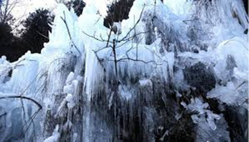 Ngay cả cây cối cũng bị đóng băng toàn bộ, tạo thành khung cảnh mỹ lệ như xứ sở băng tuyết trong các câu chuyện cổ.