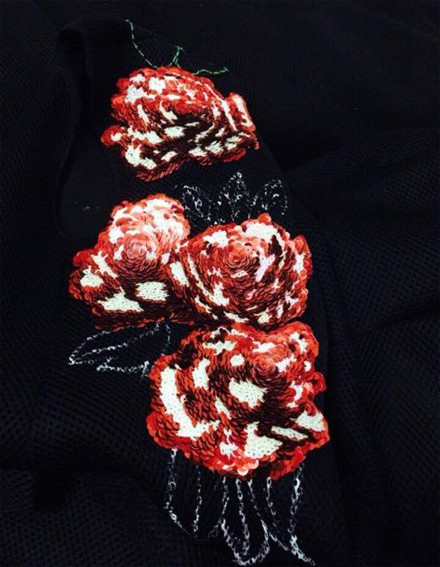 Do Manh Cuong bo thiet ke so mang tieng dao y tuong-Hinh-5