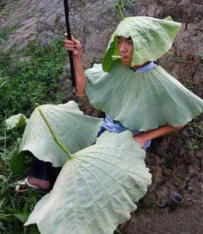 Anh: Tram kieu nguy trang nang nong cung phai chao thua-Hinh-2