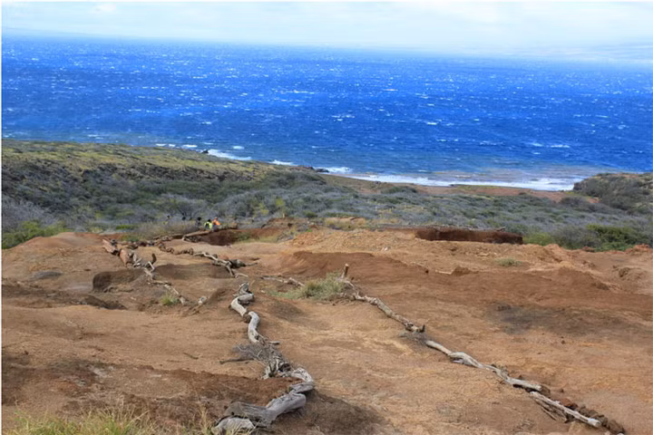 Đảo Kaho'olawe, Mỹ: Trong lịch sử, hòn đảo khô cằn này từng là nơi tiến hành các nghi lễ tôn giáo và khu tập luyện của Hải quân Mỹ. Ngày nay, Kaho'olawe trở thành khu bảo tồn thiên nhiên . Cách duy nhất bạn có thể ghé thăm hòn đảo là tham gia vào nhóm tình nguyện làm việc khôi phục môi trườn
