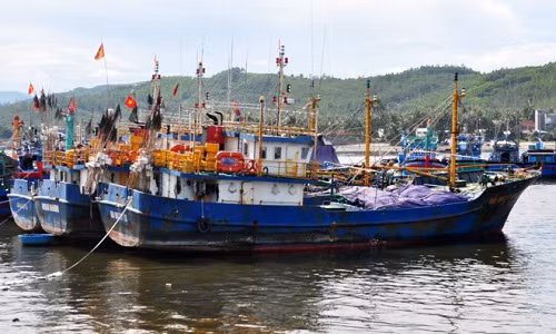 Doanh nghiep “ho tro” 2 ty, ngu dan rut don kien tau hong