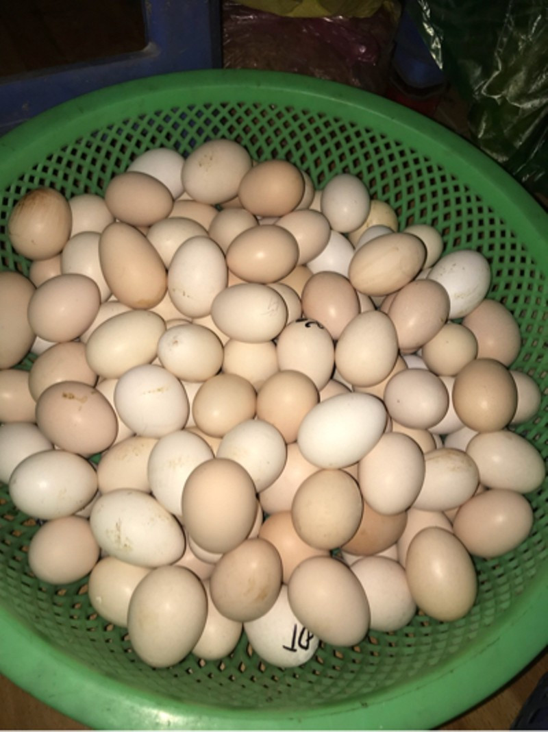 Ngoài ra, bạn có thể nhận biết trứng còn tươi hay đã quá hạn bằng cách quan sát quả trứng đó. Ảnh: thitruongsi.