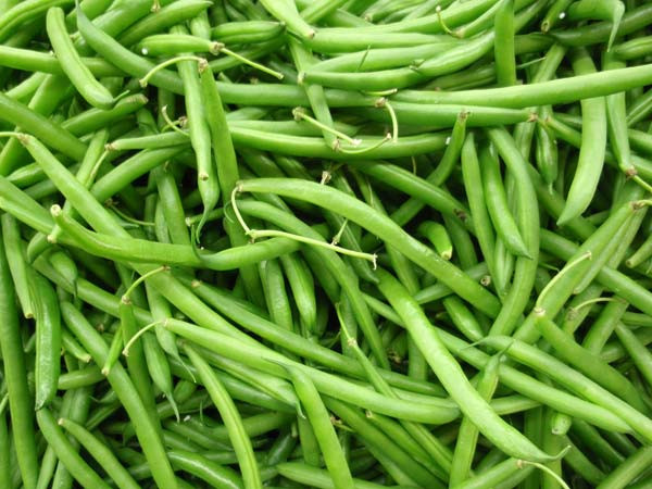 Đậu cô ve chứa rất ít calo và chất béo trong khi hàm lượng chất xơ lại cao, khiến nó trở thành món rau lý tưởng cho những người đang cố gắng duy trì cân nặng.