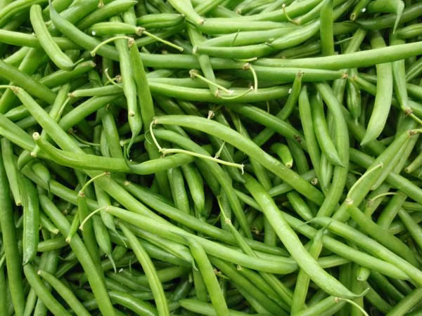 Đậu cô ve chứa rất ít calo và chất béo trong khi hàm lượng chất xơ lại cao, khiến nó trở thành món rau lý tưởng cho những người đang cố gắng duy trì cân nặng.