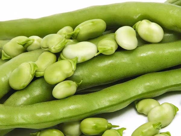 Đậu cô ve có tác dụng ngăn ngừa trầm cảm do chứa một lượng folate tốt. Đây là khoáng chất có thể ngăn chặn sự giải phóng homocysteine dư thừa trong cơ thể.