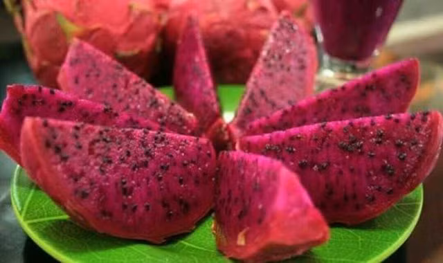 Chính lượng chất xơ dồi dào trong thanh long có thể kiểm soát lượng đường trong máu và ngăn ngừa nguy cơ mắc bệnh tiểu đường. Ảnh: steemitimages.