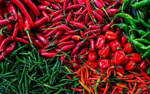 Chính thành phần Capsaicin có trong ớt có khả năng tạo nhiệt rất tốt, giúp đốt cháy calo, đốt cháy chất béo có trong thức ăn. Ảnh: telegraph.