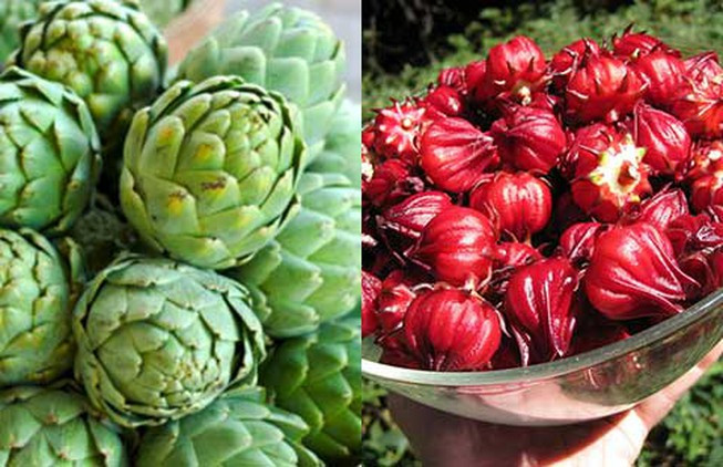 Atisô chứa các chất chống oxy hóa và chống lại độc tố, giúp lọc thận, lợi tiểu, góp phần làm sạch hệ thống. Ảnh: plo.