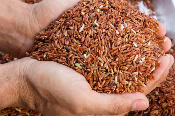 Tiêu thụ trái cây màu trắng và nâu mỗi ngày sẽ giúp bạn ngăn ngừa vết nhăn ở da và tình trạng gãy rụng tóc. Ảnh: muagao.