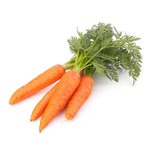 Cà rốt cũng là loại thực phẩm giúp điều trị nóng gan tốt do có chứa hàm lượng lớn Beta-caroten và Flavonoid của thực vật. Ảnh: dungcunongnghiep.