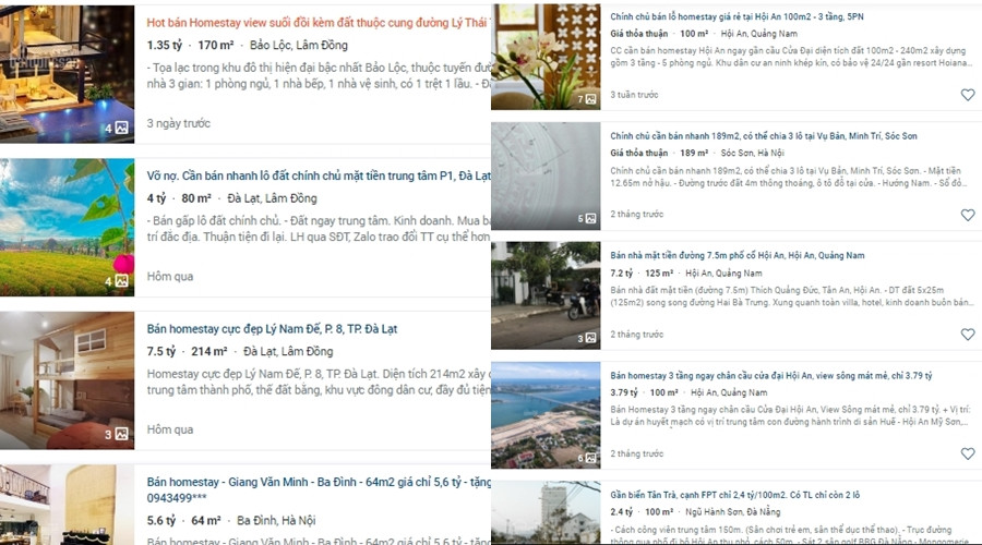 Dich benh phuc tap, homestay, khach san kiet suc... rao ban ram ro-Hinh-2