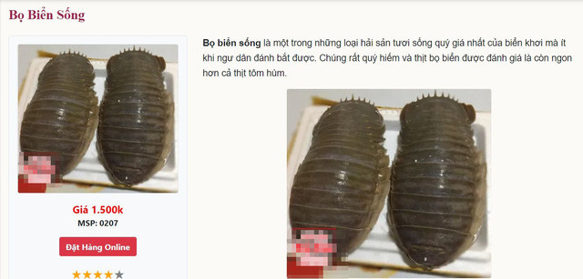 Loai hai san menh danh 