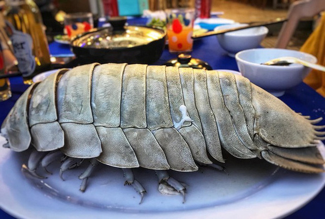 Loai hai san menh danh 