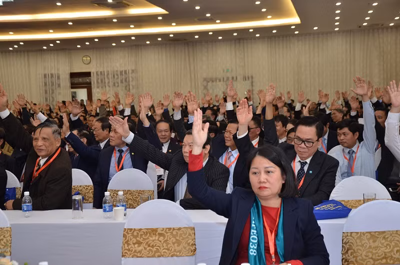 Chinh thuc khai mac Dai hoi Dai bieu toan quoc Lien hiep cac Hoi Khoa hoc va Ky thuat Viet Nam lan thu VIII-Hinh-2