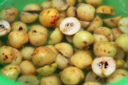 Ngoài ra, uống đặc sản miền núi rượu táo mèo đều đặn còn ngừa đau thắt ngực, nhồi máu cơ tim, béo phì, viêm cầu thận cấp và mãn tính.