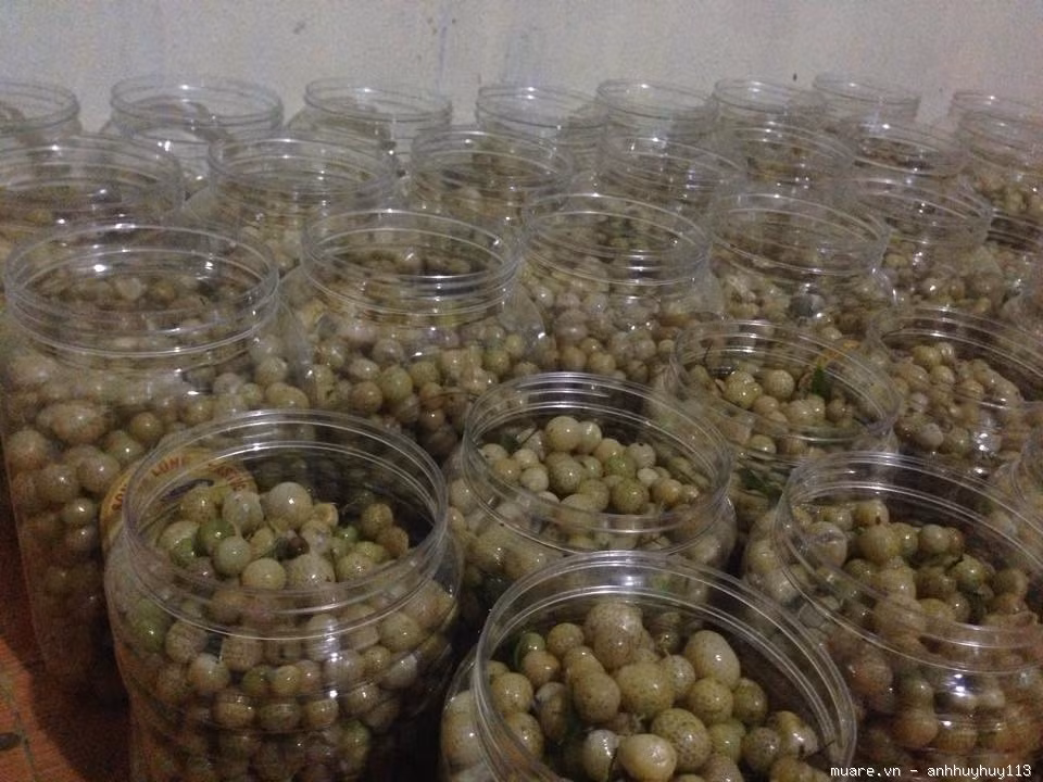 Mắc mật khi kết hợp với các vị thuốc khác tạo nên các bài thuốc có tác dụng tích cực trong việc điều trị các bệnh về tiêu hóa, về suy giảm chức năng gan...