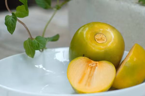 Bài thuốc từ quả hồng giòn có tác dụng kiện tỳ, trị ho, cầm máu rất tốt. Nhiều bộ phận của quả hồng giòn được dùng làm thuốc chữa bệnh mà có thể bạn chưa biết.