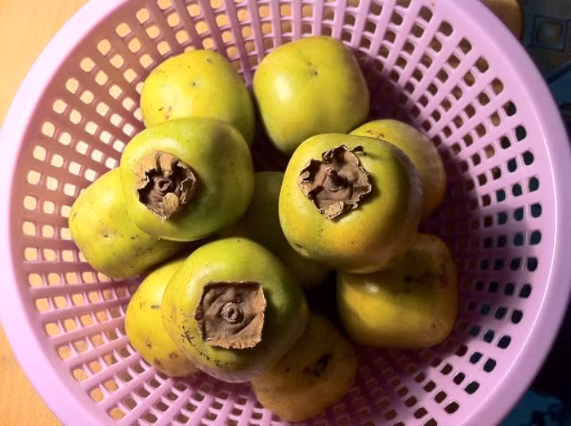 Theo ghi chép của các tài liệu dân gian, phấn của quả hồng giòn có tác dụng thanh nhiệt, nhuận tràng, có thể làm tan đờm, giảm ho. Đây là vị thuốc rất tốt để chữa viêm rát họng, viêm niêm mạc lưỡi miệng.